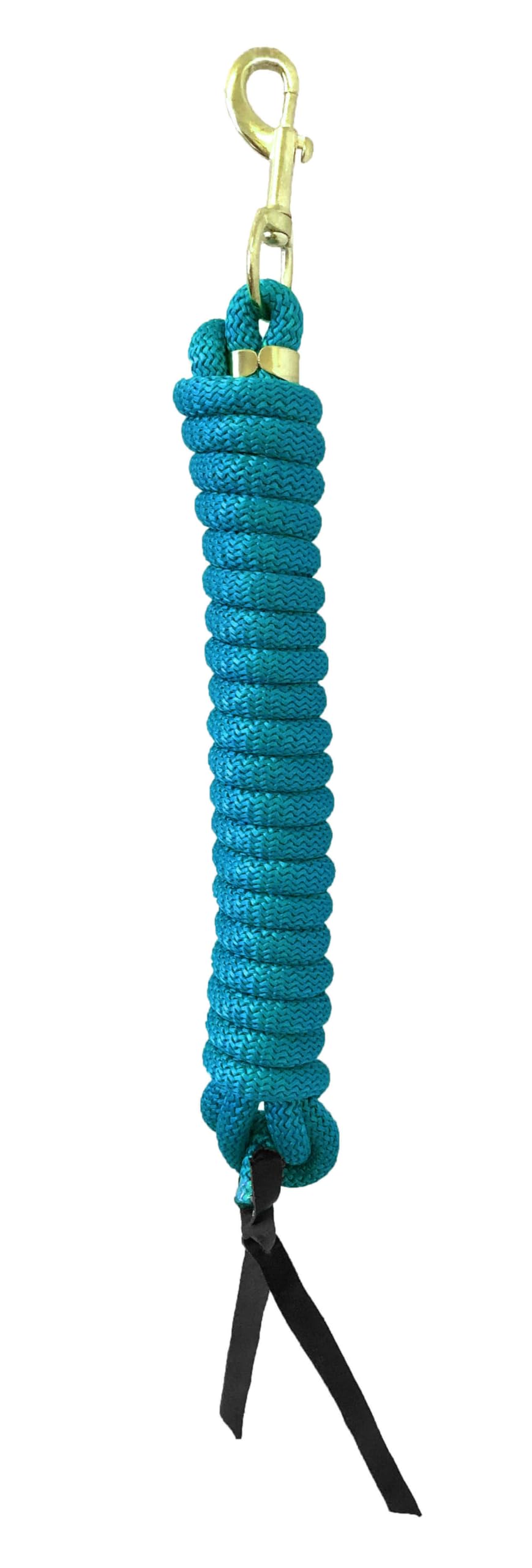 Nylon Training Lead Rope Leather Ends 14' w/Swivel Snap (Aqua)
