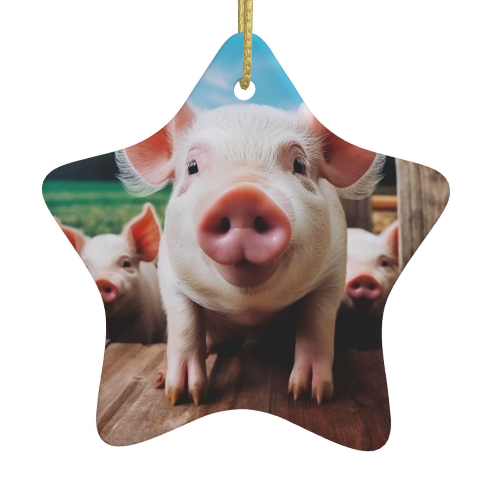 Ceramic Christmas Tree Hanging Ornaments with Gold Ropes Christmas Tree Decorations Star Ceramic Smiling Pendant Keepsake Decorations for Holiday Xmas Gift Ideas