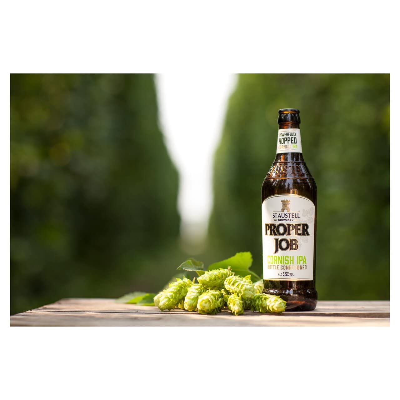 6 x St. Austell Proper Job 0,5l- Cornish IPA aus England mit 5,5% Vol.