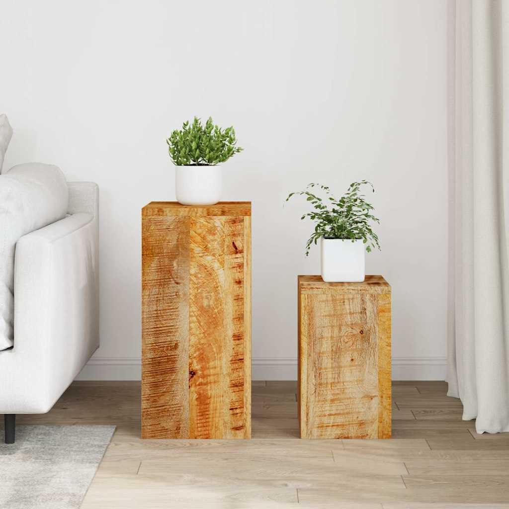Supports pour Plantes en Bois Massif de manguier 2 pcs, Supports de Jardin intérieur et extérieur pour Fleurs, vignes, rosiers, Pots de légumes et Plantes grimpantes Solides