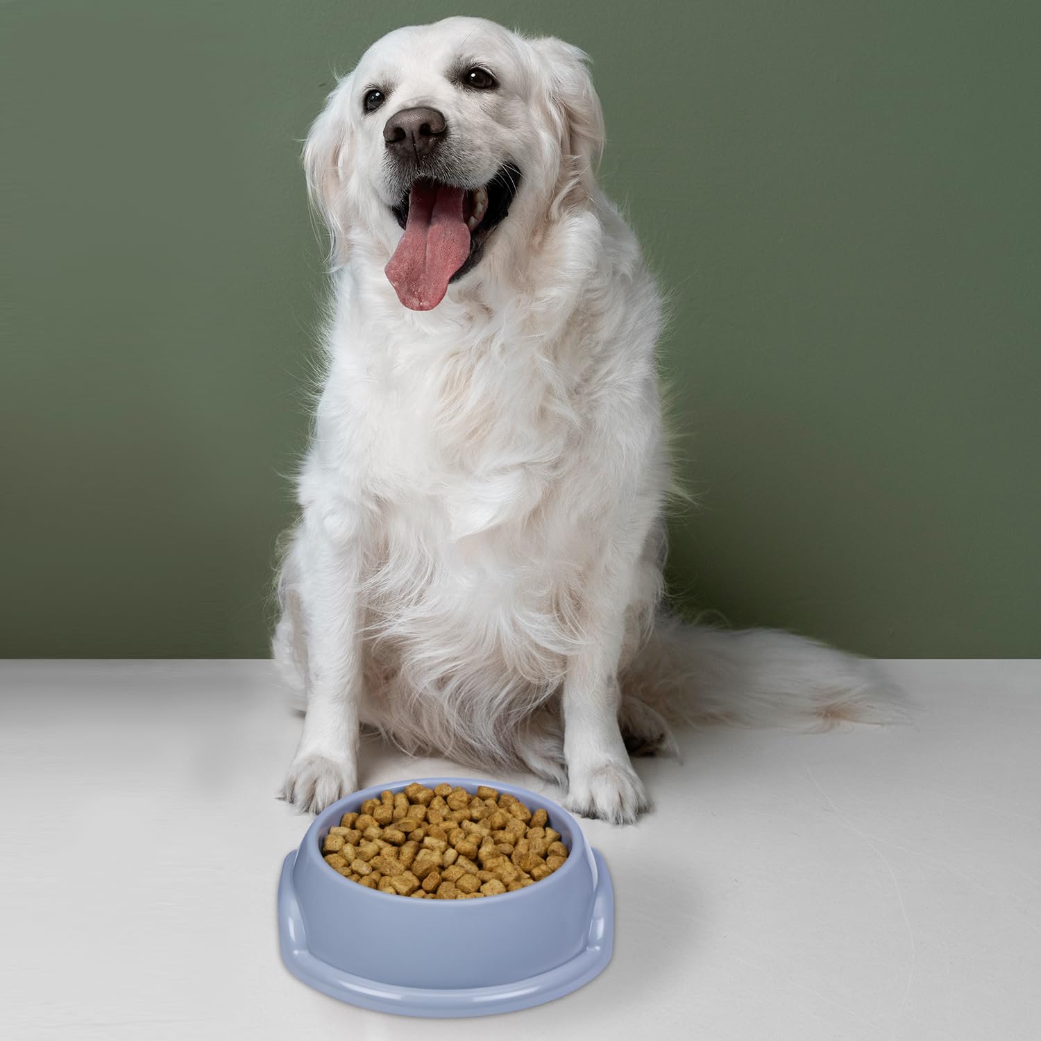 COMET Plastics 6L Pet Food Storage Container With Scoop and Pet Food Bowl | Cute Dog Artwork on your pet food storage container | Pet food bowl -750ml | BPA Free | Grey | Free Scoop | Free Bowl | 1