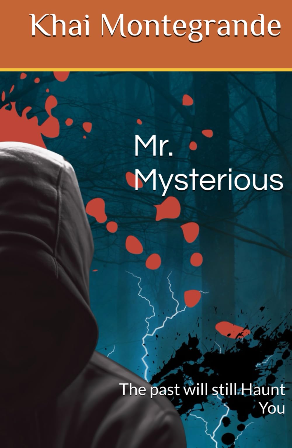 Mr. Mysterious: The past will still Haunt You