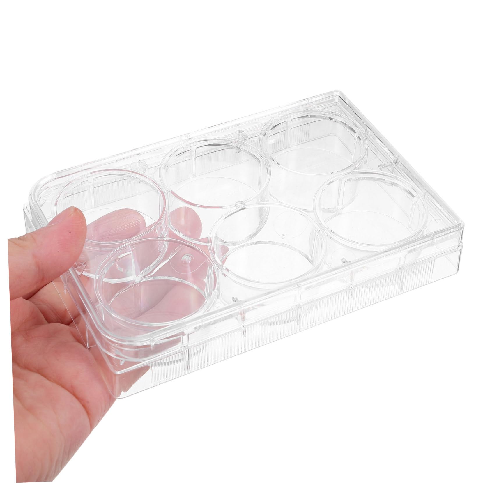 Ipetboom Laboratory Cell Culture Plate mit Deckel Einweg Gewebekulturplatte aus Robustem Material Anzuchtplatte für Präzise Zellkulturen im Laborgebrauch