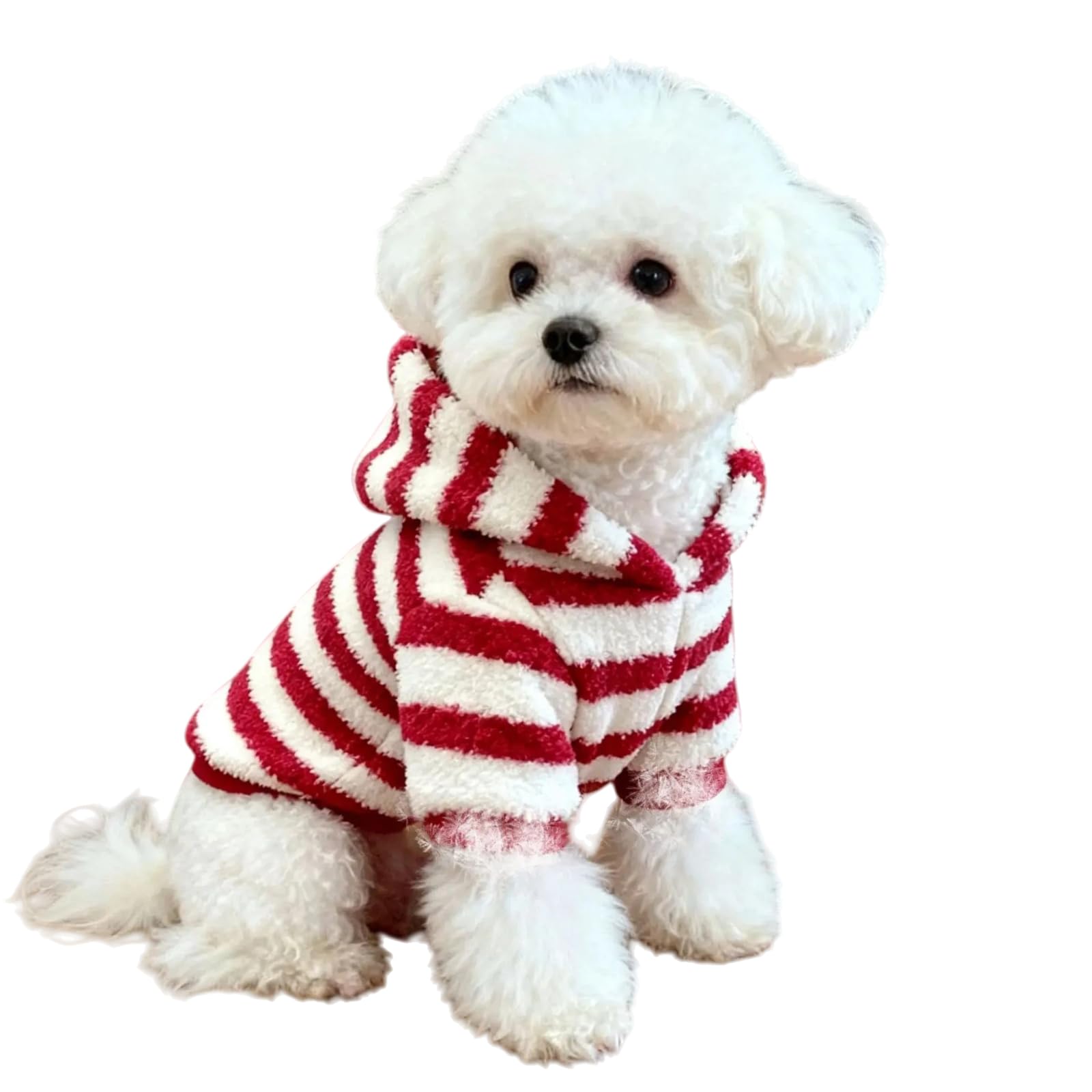 Sweat à capuche pour chiens rembourré pour une protection thermique optimale