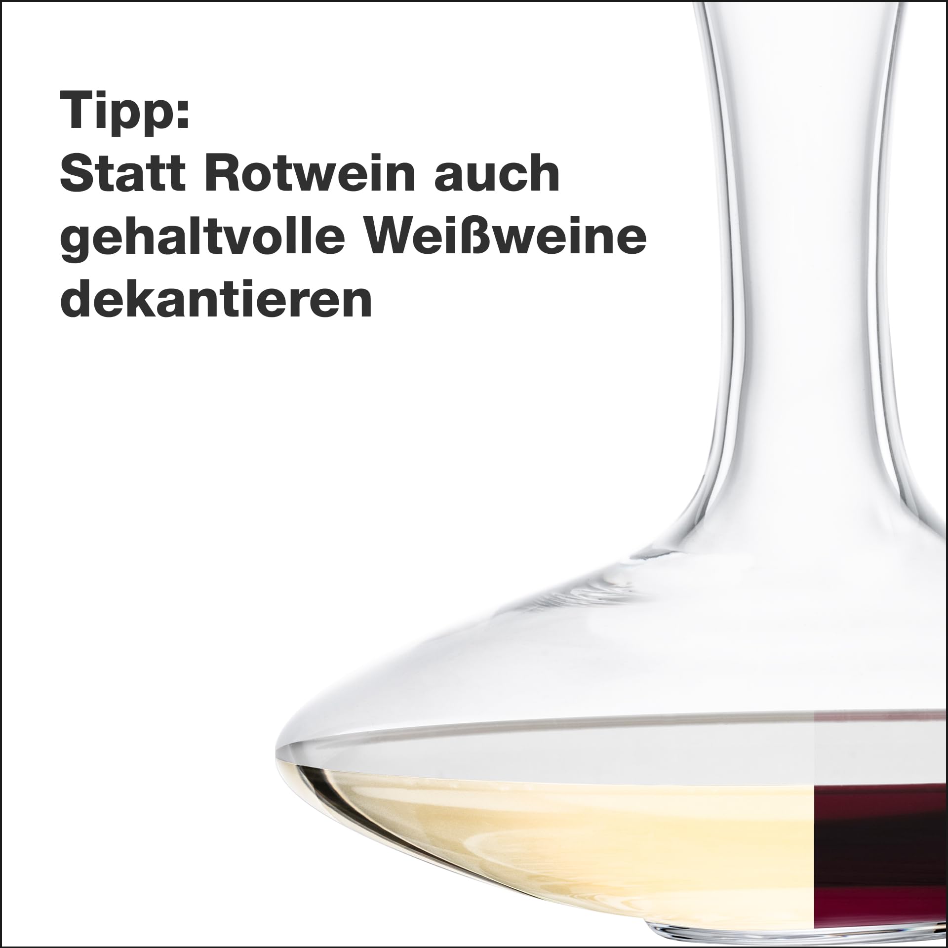 EISCH Wein Dekanter Performance 0,75l mit No Drop Effekt