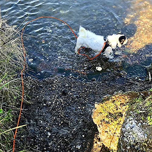 Joytale Long Dog Training Leash, 50 Ft Tie Out Rope Check Cord Dogs Leashes With Padded Handle, Reflective Recall Lead For Puppy And Small Dogs, Orange #TOP5