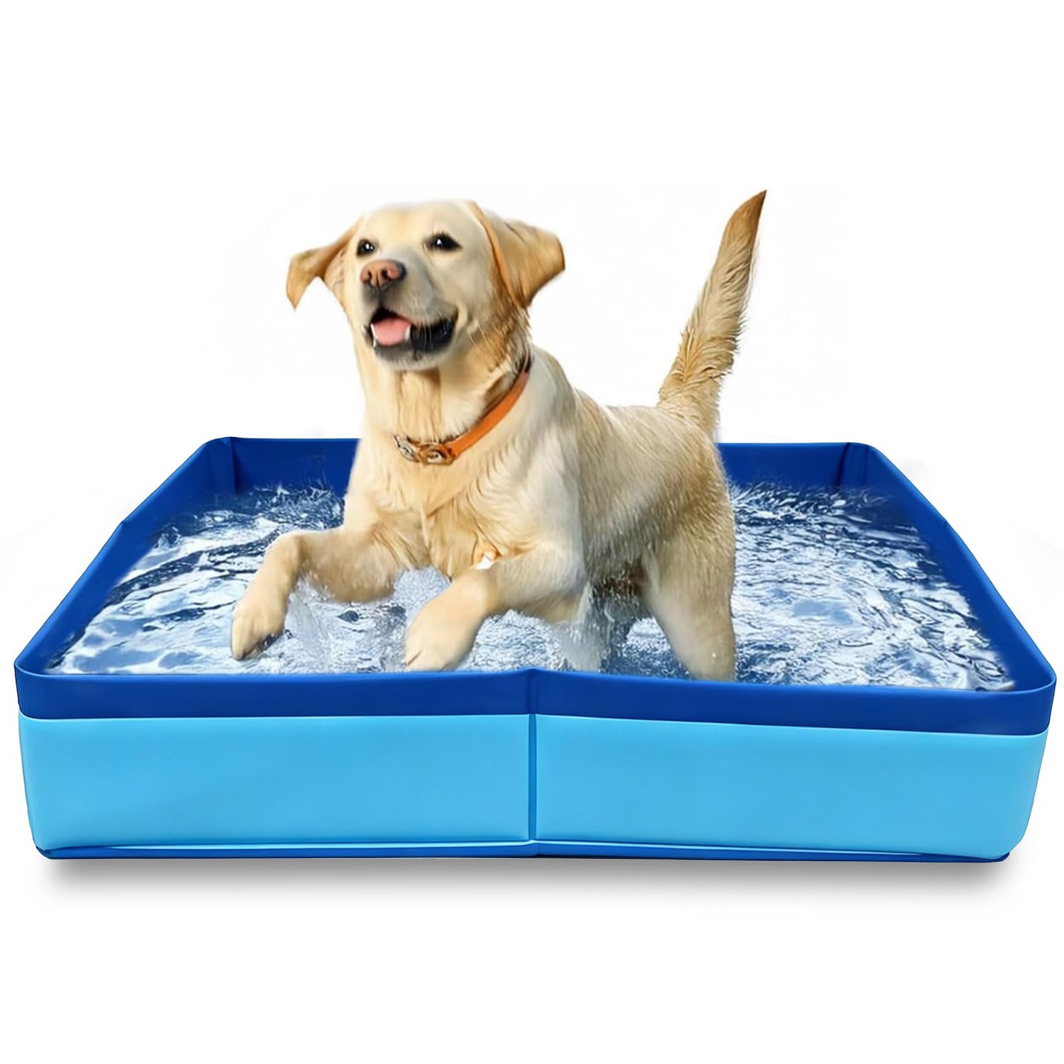 Foldable Dog Pool, Cat Pool, 50 x 50 cm, Swimming Pool for Dogs, Paddling Pool for Pets, Foldable PVC Dog Pool for Small Dogs, Swimming Pool