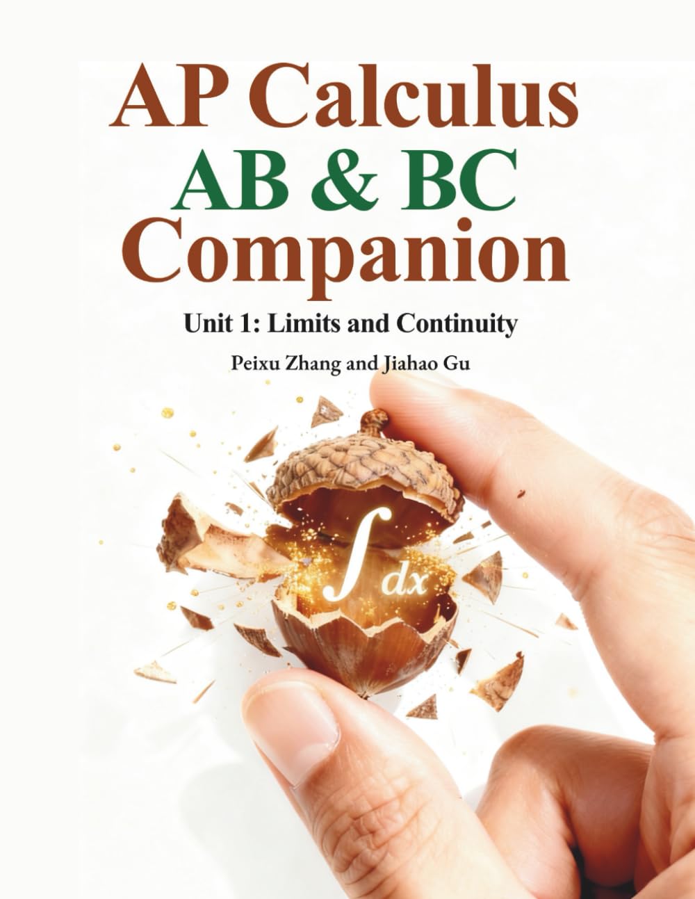 AP Calculus AB & BC Companion - Unit 1
