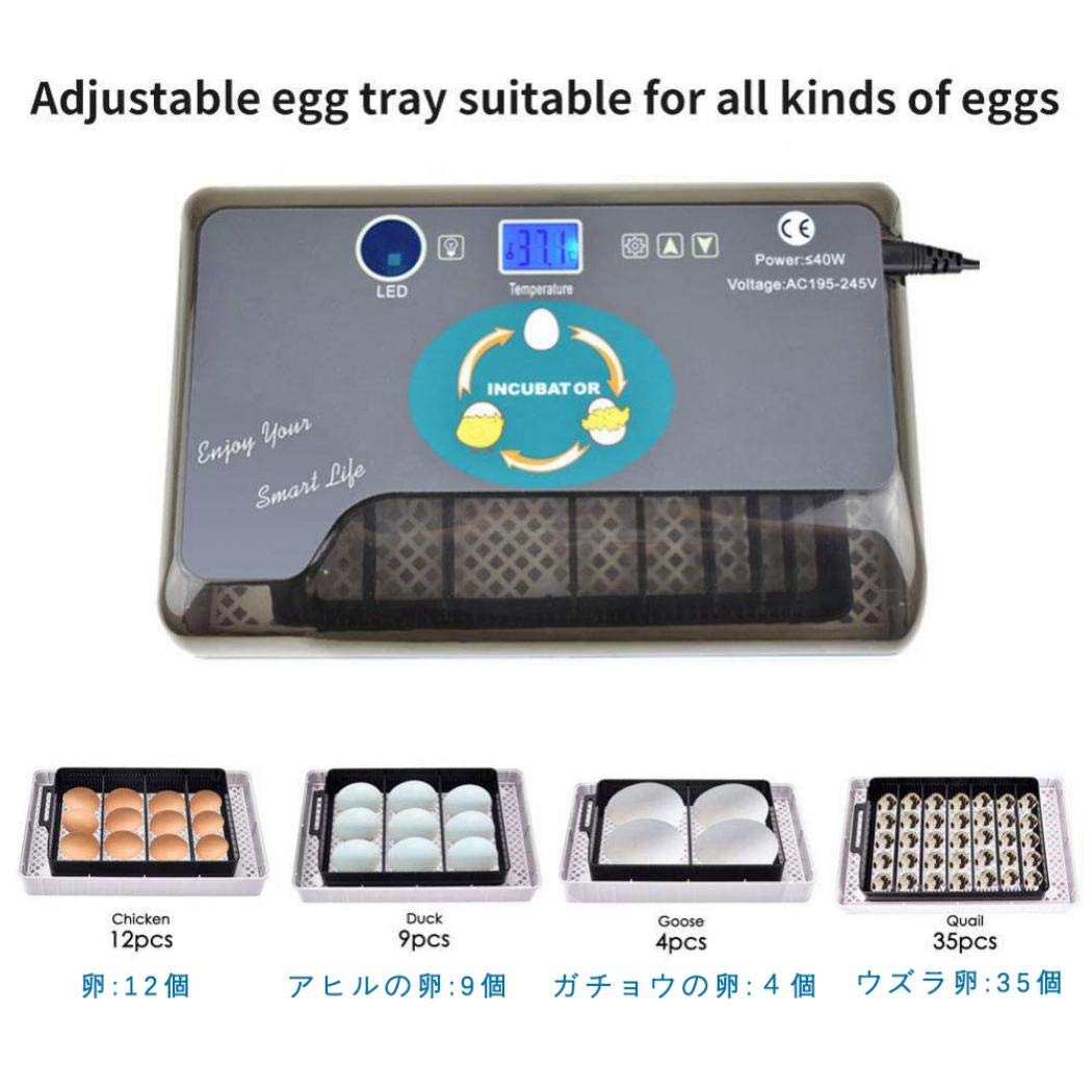 Amazon.co.jp: 自動孵卵器 孵卵機 インキュベーター 孵卵器 鶏など家畜
