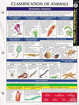 Buy Classification of Animals: Pack of 12 Book Online at Low Prices in ...