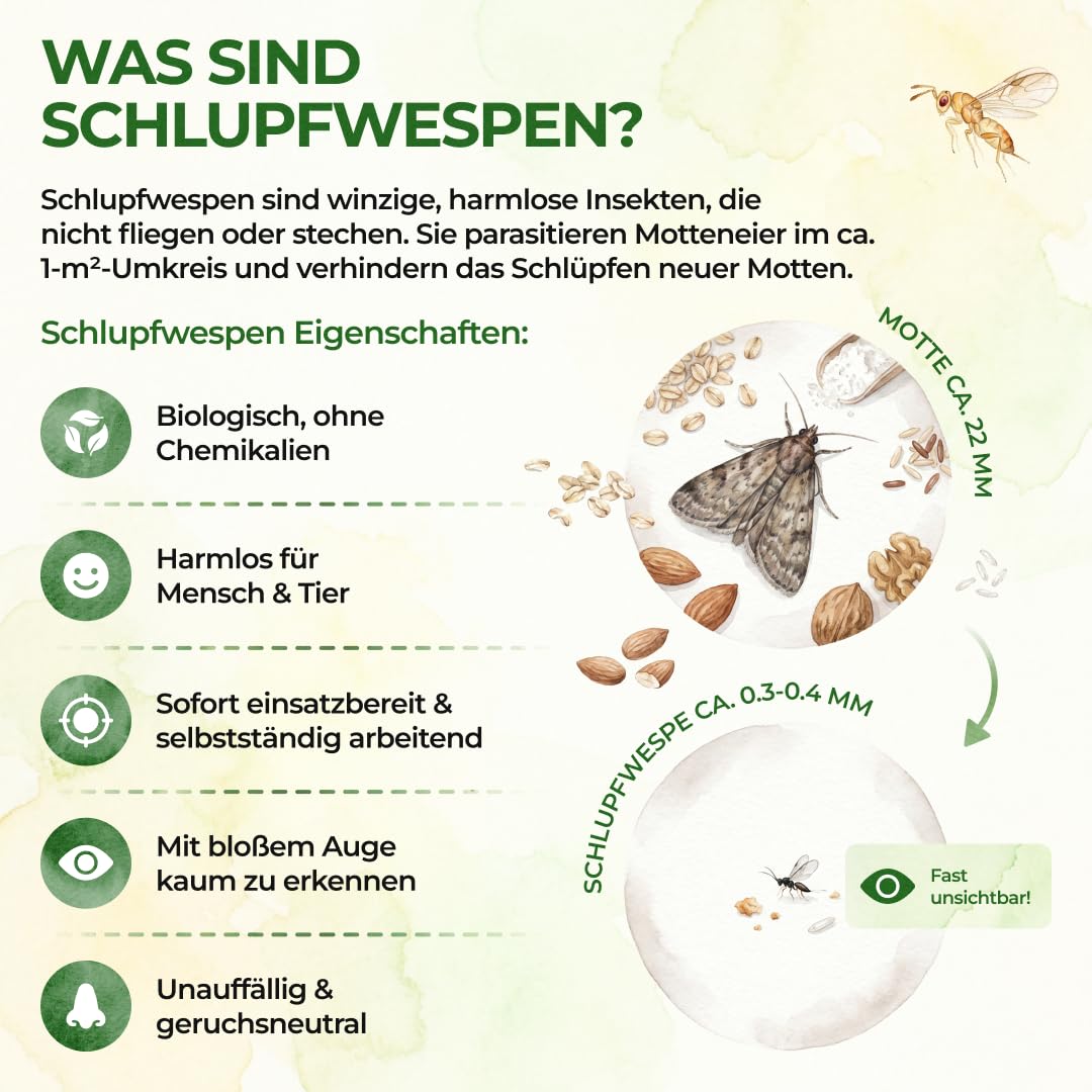 GREEN GUARDIA Schlupfwespen gegen Lebensmittelmotten - 5 Karten à 1 Lieferung - Effektiv & unweltfreundlich Lebensmittel Motten bekämpfen - Alternative zur Mottenfalle, Mottenspray, Pheromonfalle