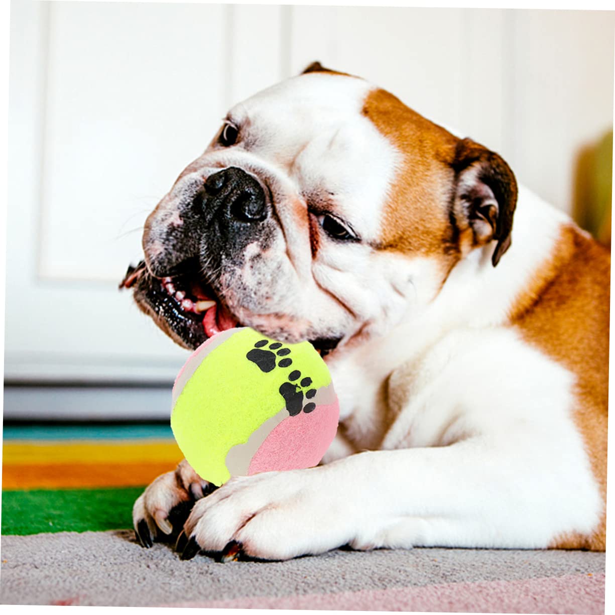 Garneck 16pezzi Palline Di Gomma Per Cani Palline Interattive Da Masticare Giocattoli Per Di Resistente Ai Morsi Cadute Facile Da Pulire e Trasportare