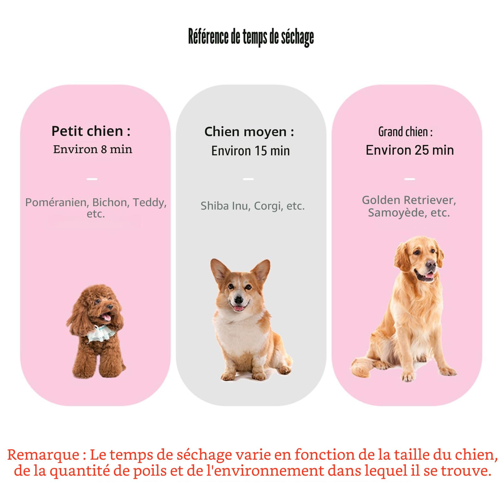 Pulseur Chien Professionnel 2800W Souffleur Chien Pulseur pour Chien Poils Longs Seche Cheveux Chien Sèche-Cheveux pour Animaux Vitesse Continue et température réglable avec 4 Buses (Rose)