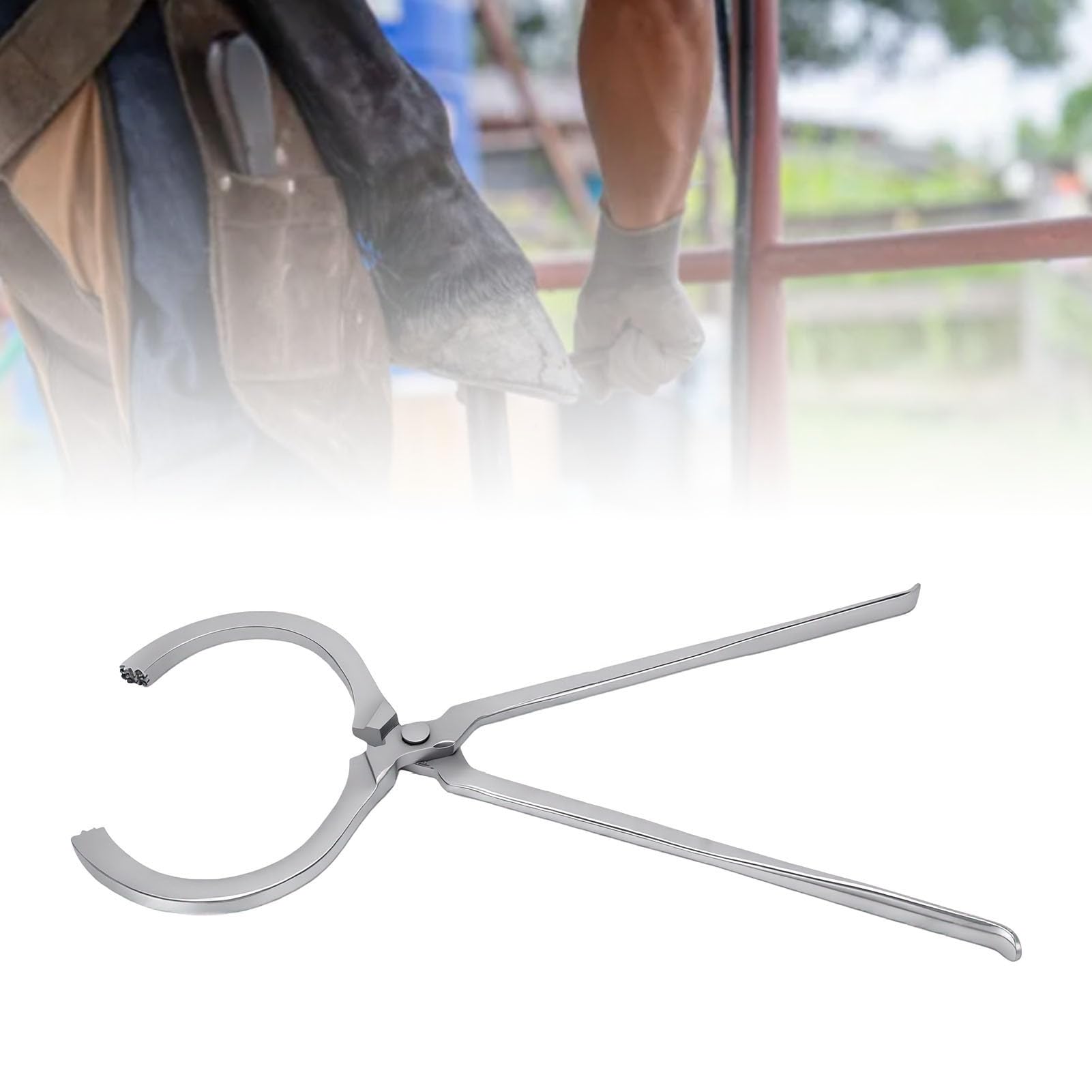 Comprobador de Cascos Equinos, Herramienta para Casco de Caballo | Alicates veterinarios para cascos, detectan dolor y cojera, cuidado equino, for Caballos