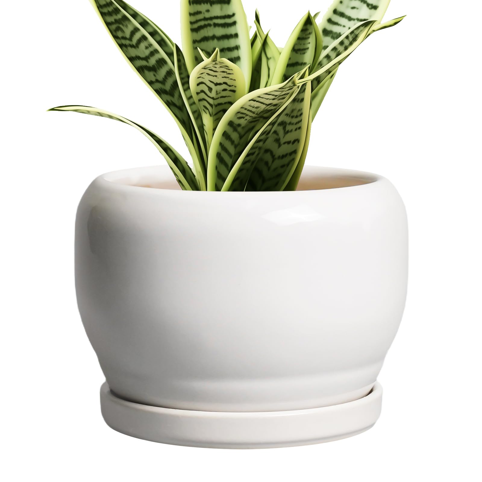 SQOWL 6 Inch Ceramic Planter