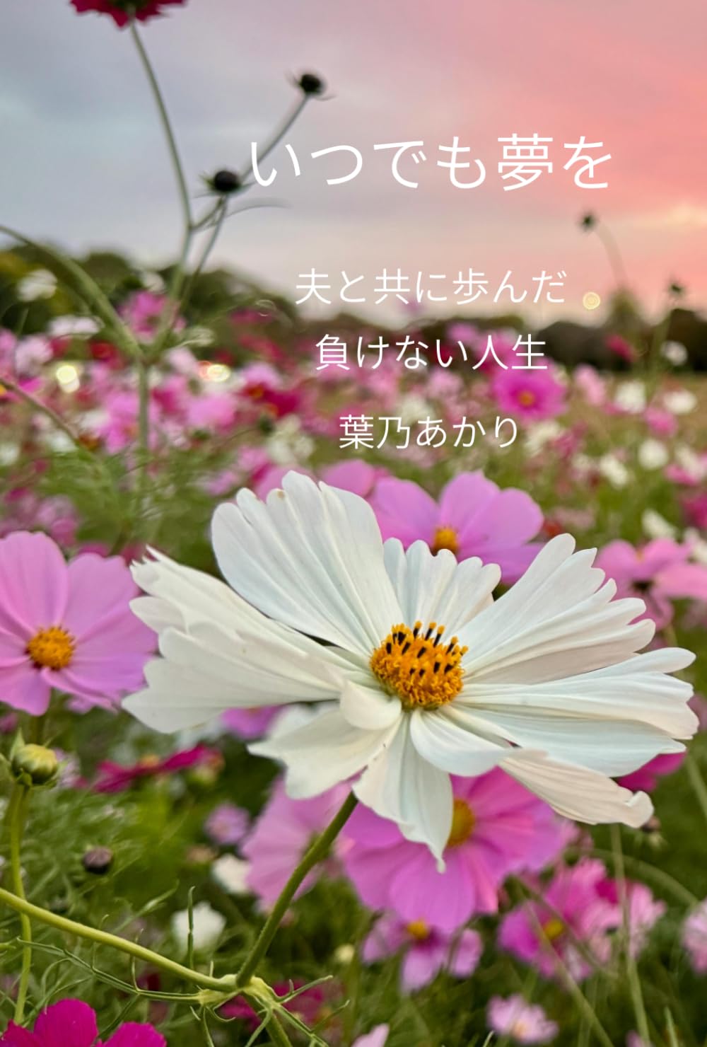 いつでも夢を