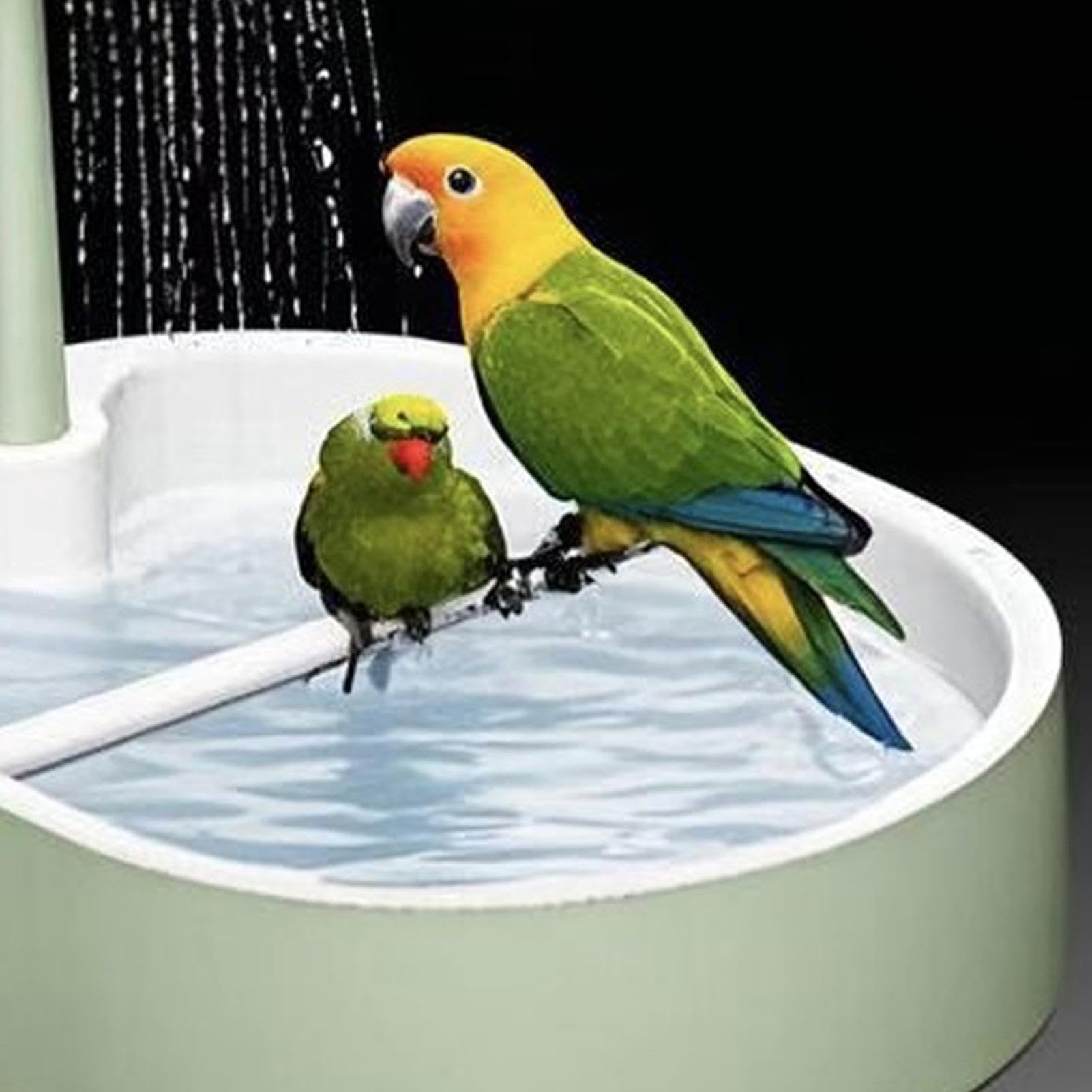 Generisch Baignoire pour cage à oiseaux