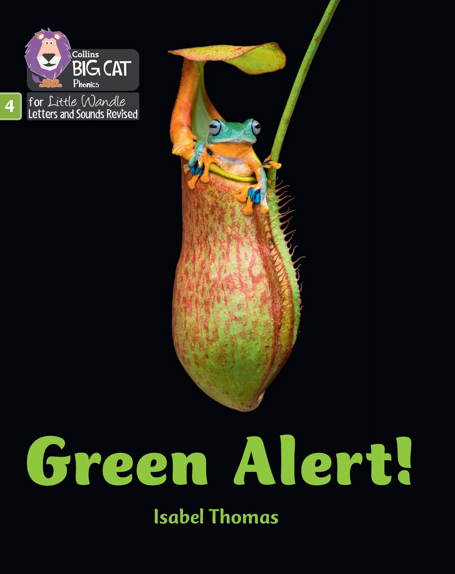 Green Alert!: Phase 4 Set 2 Stretch and challenge