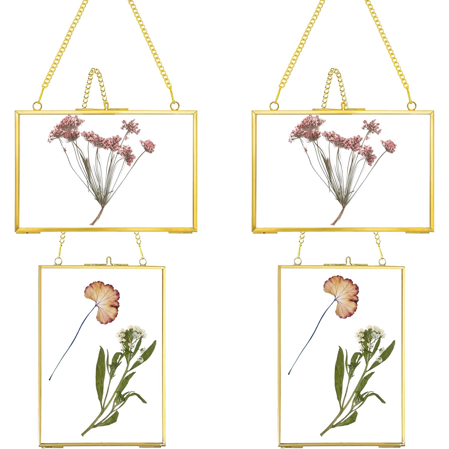 4 Pack 5" x 7" Brass Hanging Photo Frame Glass Frame for Pressed Flowers, Gold Hanging Glass Picture Frames with Chain, Hanging Glass Display Frame for Dried Flower Plant Specimen