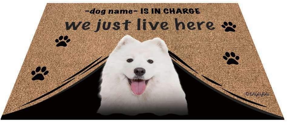 BAGEYOU Personalized Dog's Name Doormat with My Love Dog Samoyed Welcome Floor Mat Who is in Charge We Just Live Here 27.5 x 17.7