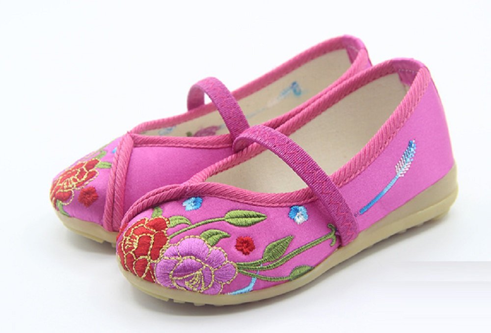 Tianrui Crown Children Girl's Flower Embroidery Loafer Shoes Kid's Cute Flat Dance Shoe Rose Red