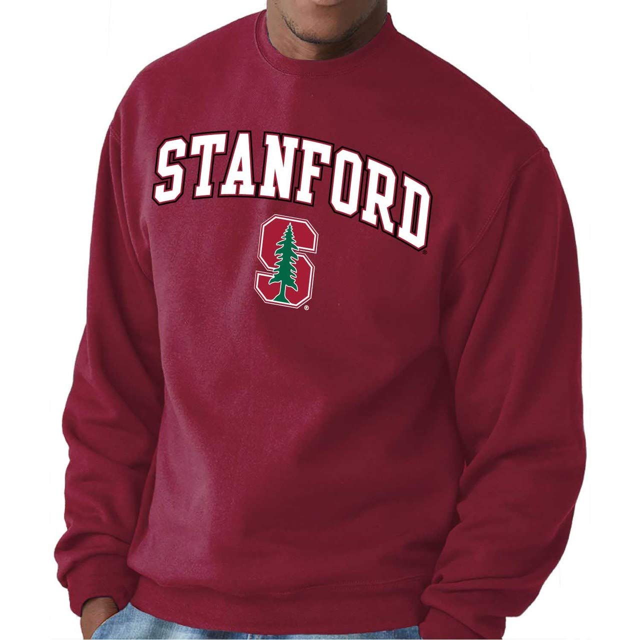 Campus Colors NCAA Adult Arch & Logo Soft Style Gameday Crewneck Sweatshirt - Officially Licensed Product