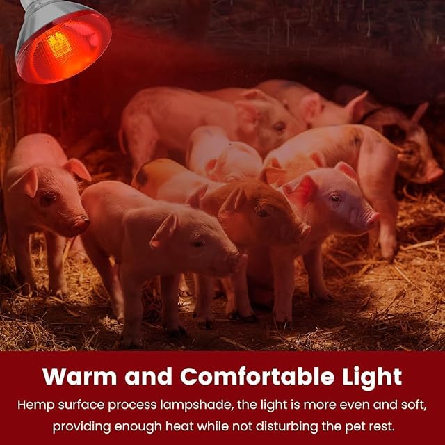 Foto 4 de 6 de Frogetu Lámpara de Calor por Infrarrojos 250 W, E27 Bombillas de Calefacción para Reptiles