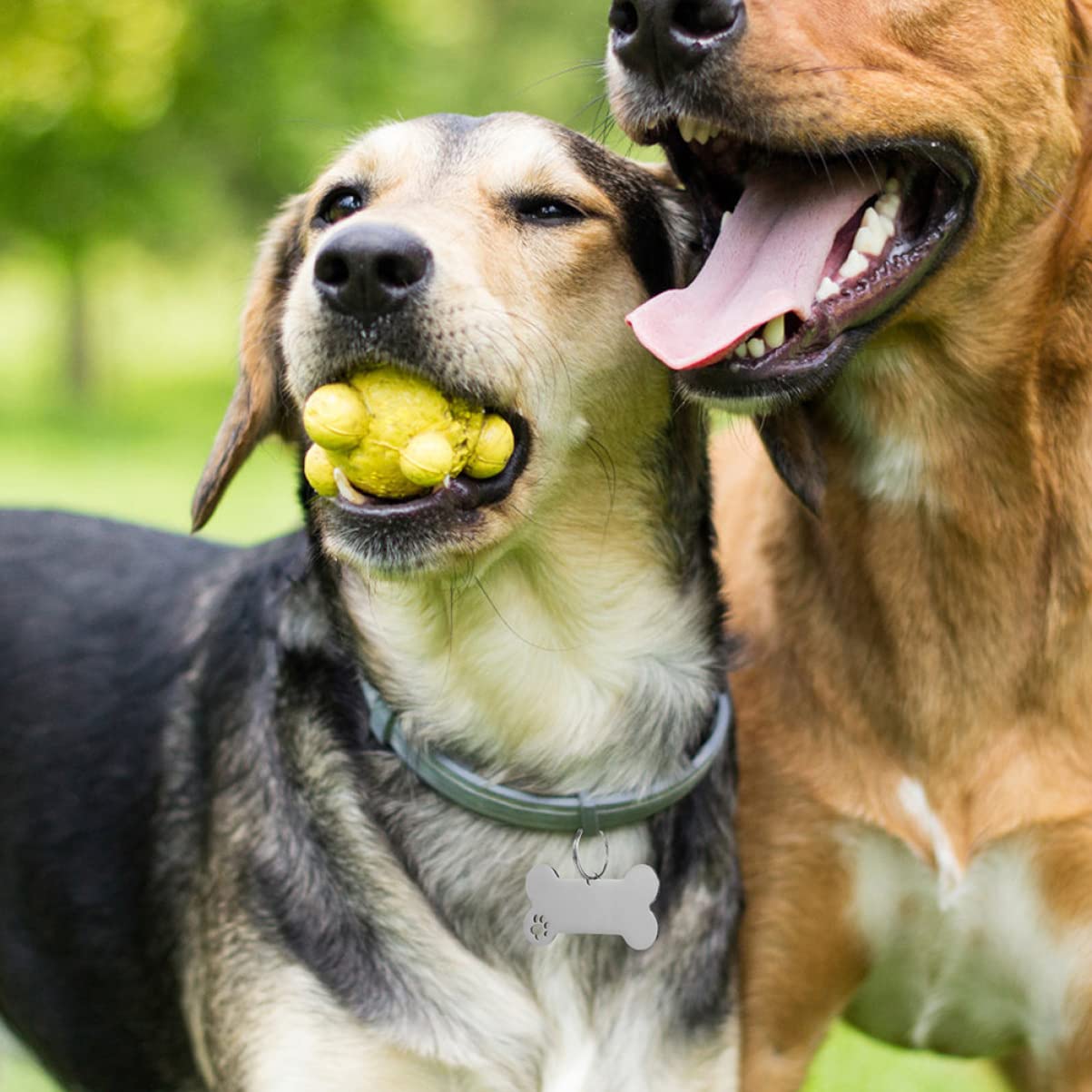 YARNOW 30pièces Plaques Identification pour Chiens Médailles Gravées pour Colliers De Chiens Et Accessoires Personnalisés pour Animaux De Compagnie