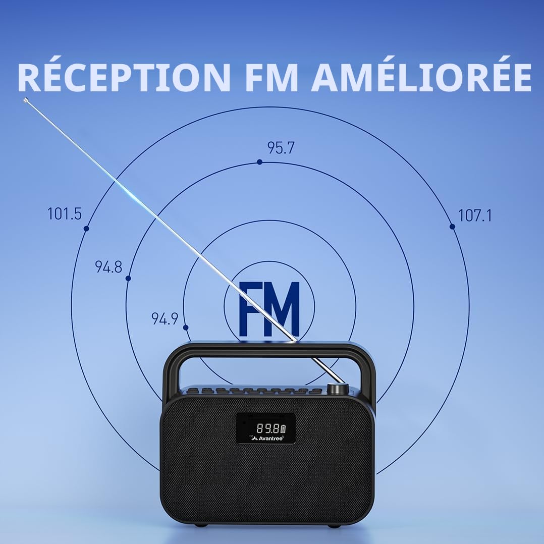 Avantree PowerByte - Radio FM Portable avec Enceinte Bluetooth Stéréo 30 W