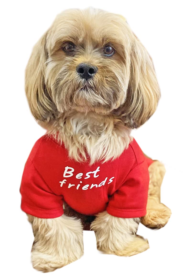 little puppy clothes