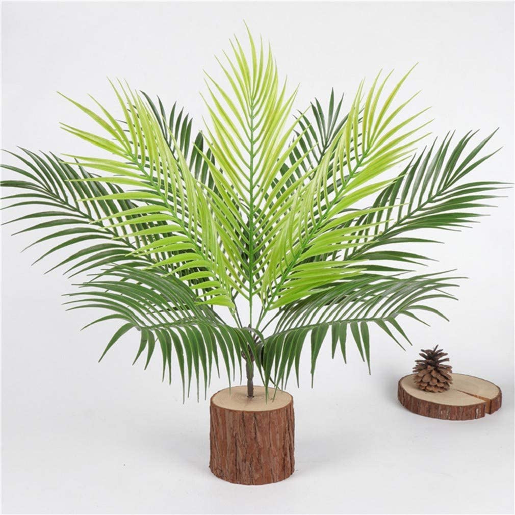See full amazon price history chart for Garden Hub Silk Artificial Palm Plants/Tree Leaves Bunch For Home Decor (Without Pot,50Cm) (Areca Palm, 1), Green Garden Hub Silk Artificial Palm Plants/Tree Leaves Bunch For Home Decor (Without Pot,50Cm) (Areca Palm, 1), Green (B0BM85DWZD) Amazon Price History, Amazon Price Tracker