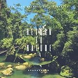 SVARAVEENA NATURE SOUND