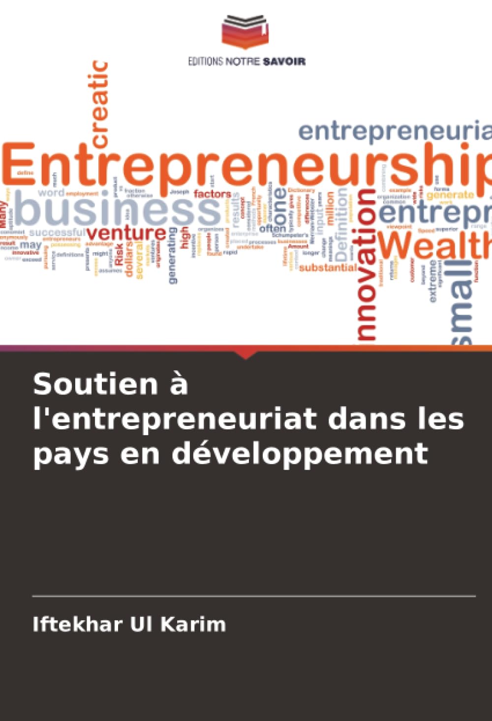 Soutien à l'entrepreneuriat dans les pays en développement