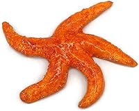 Vista 11 de 1Pc Handmade Ceramic Starfish Tile, Coastal Wall Decor For Home, Swimingpool Aquarium or Fish Tank, Beach Lover Gift for Women