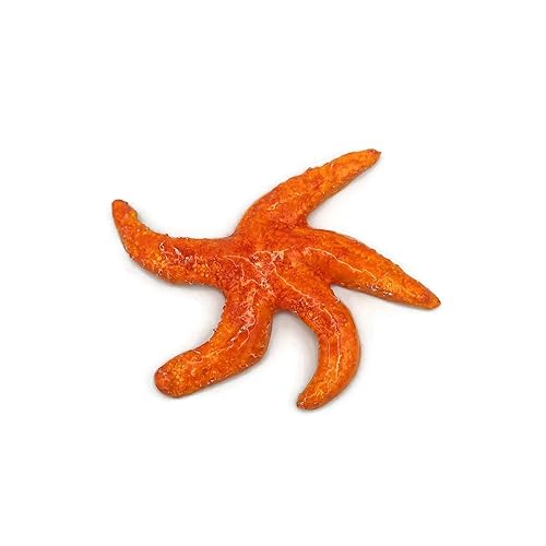 1Pc Handmade Ceramic Starfish Tile, Coastal Wall Decor For Home, Swimingpool Aquarium or Fish Tank, Beach Lover Gift for Women (14cm5.2in Diameter,