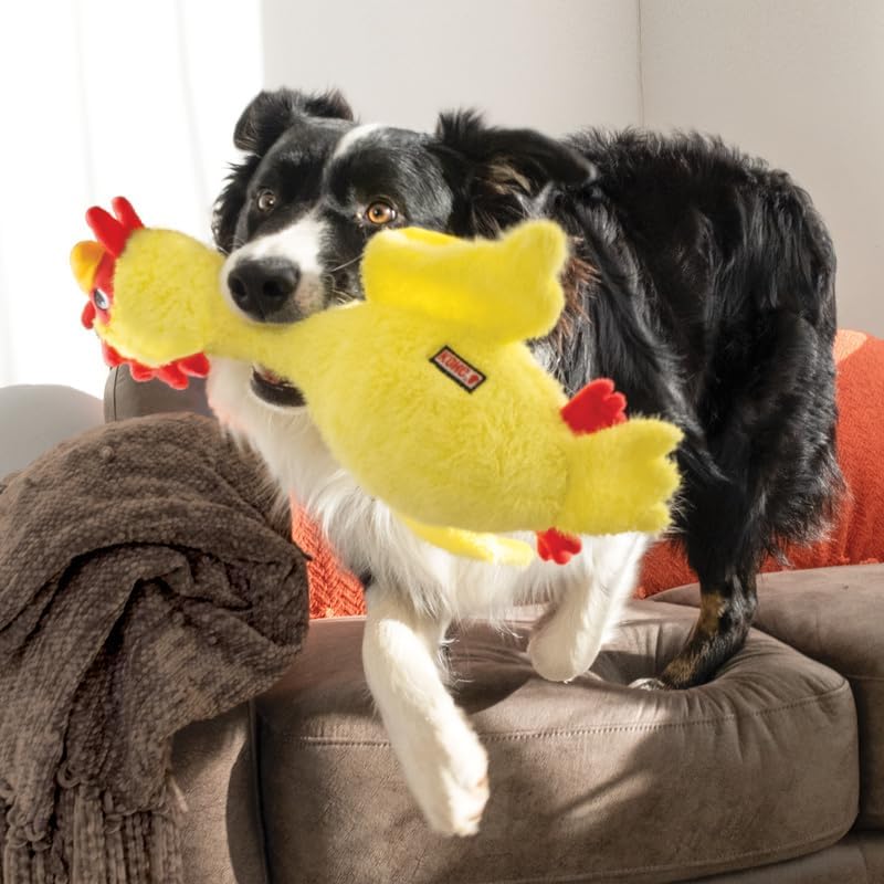 KONG Scruffs Hundespielzeug aus Plüsch, Huhn, sortiert