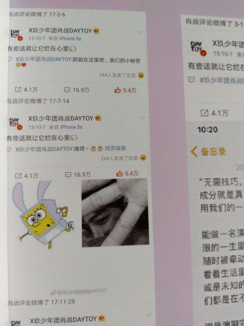 Amazon.co.jp: 肖戦 シャオジャン秘密花園写真集 陳情令 王一博PB