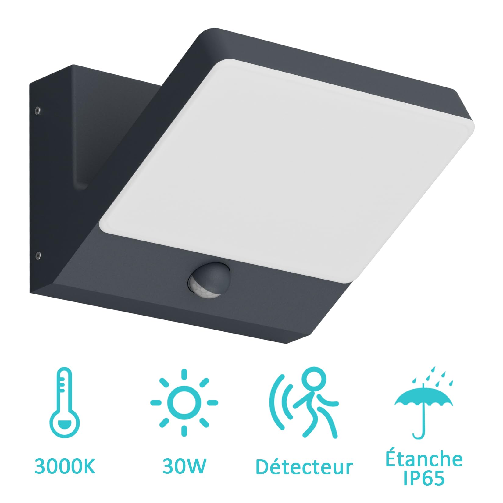 30W LED Applique Murale Anthracite avec Détecteur de Mouvement