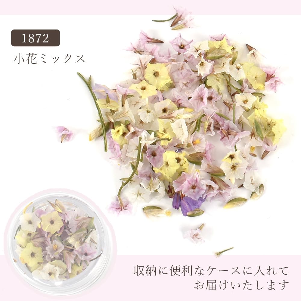 Amazon | MYmama ドライフラワー 花材 セット 封入 パーツ 小花 花