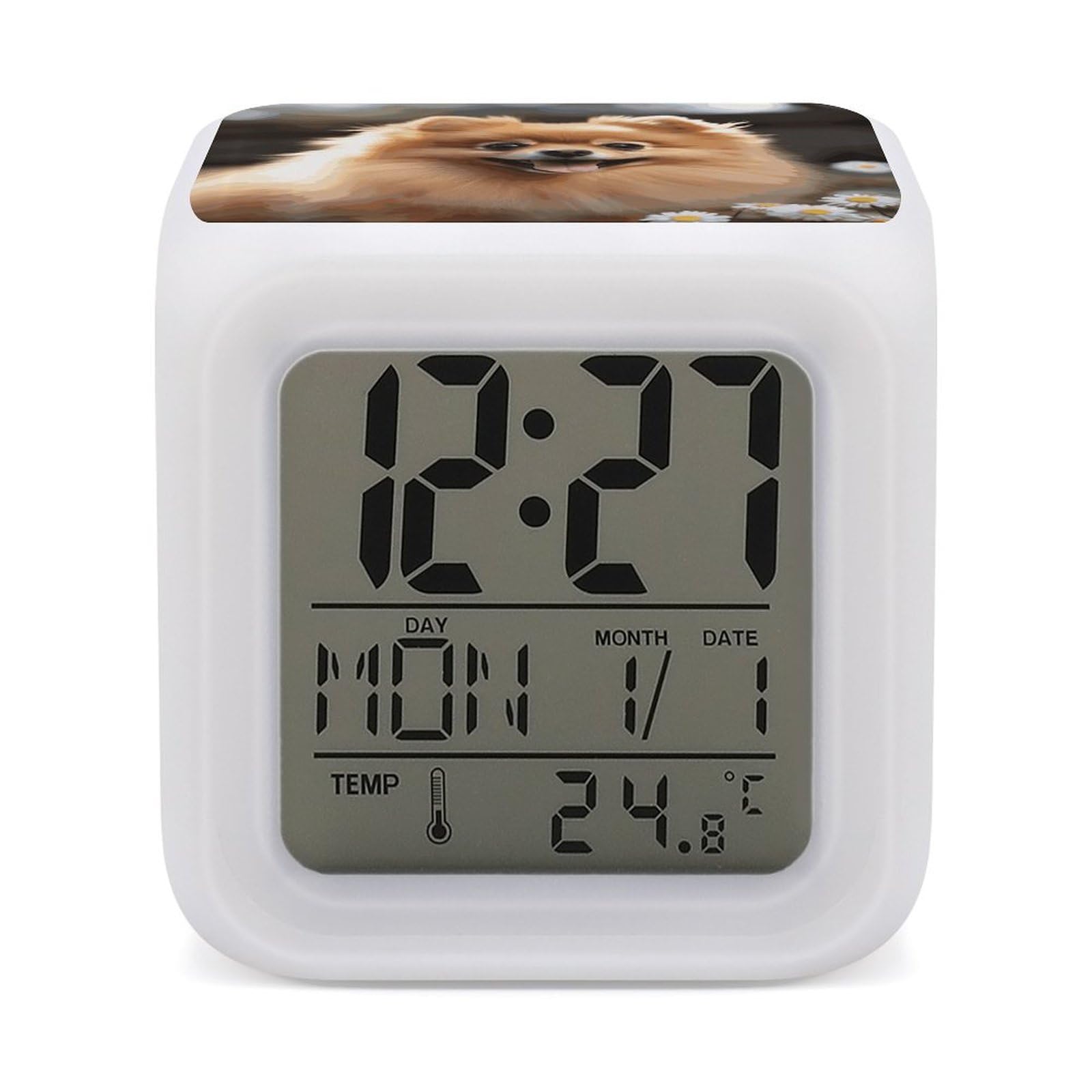 JTREHY 7 Color Changing LED Digital Alarm Clock,Pomeranian Dog Printed Wake-up Clock with Temperature Display Home Decoration Alarm Clock for Bedroom Office