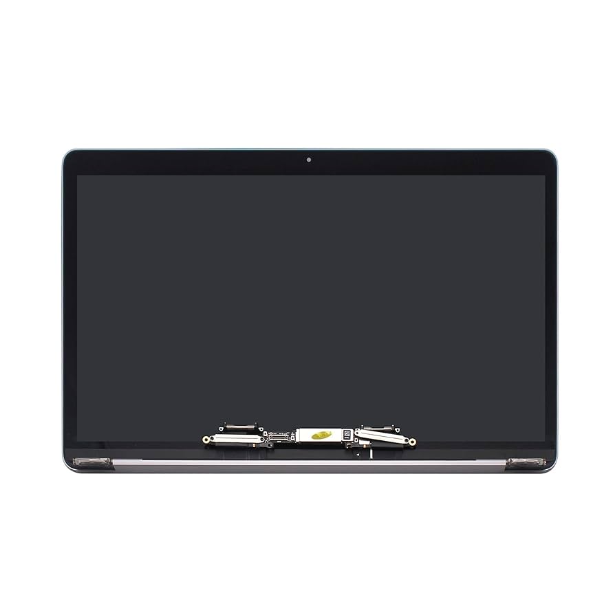 Amazon.com: LCDOLED Replacement for MacBookPro16,1