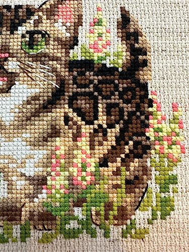 Image of RIOLIS - Bengal Kitten 2119, Cross Stitch Kits 6 inch x 6 inch, Cross Stitch Kits for Beginners & Advanced, Crossstitching Kit Adult, Embroidery Counted Stitching Kit