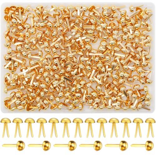 EuTengHao 300Pcs Brass Fasteners Scrapbooking Brads Round Head Brass Plated Fasteners for Craft Art Crafting School Project Decorative Scrapbooking DIY Supplies (1/2 Inch Shank 8mm Head Gold