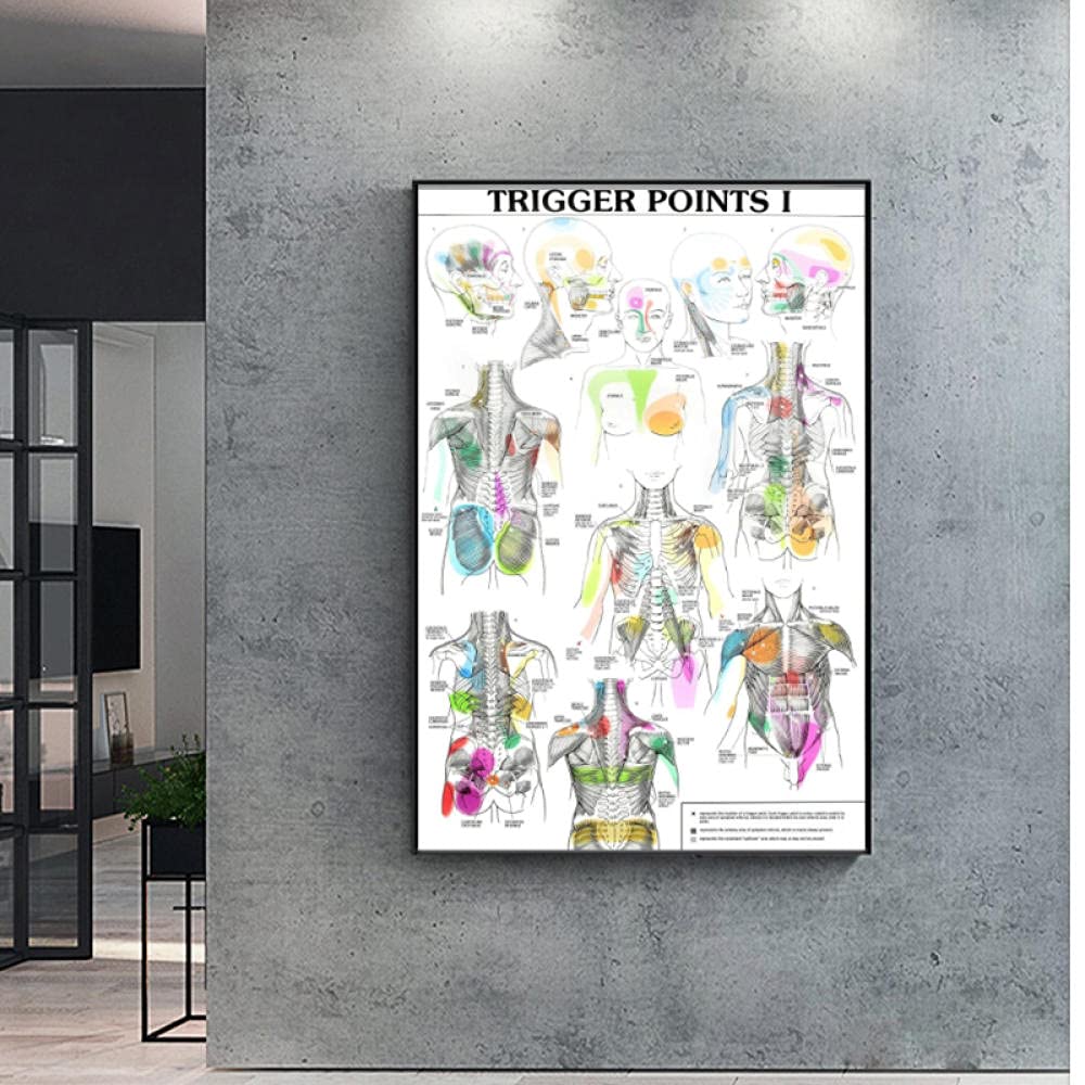 Understanding Pain Trigger Points And Nerve Locations In The Human Body Detailed Anatomical Sketch Illustrates Image387463745 - Foto 5