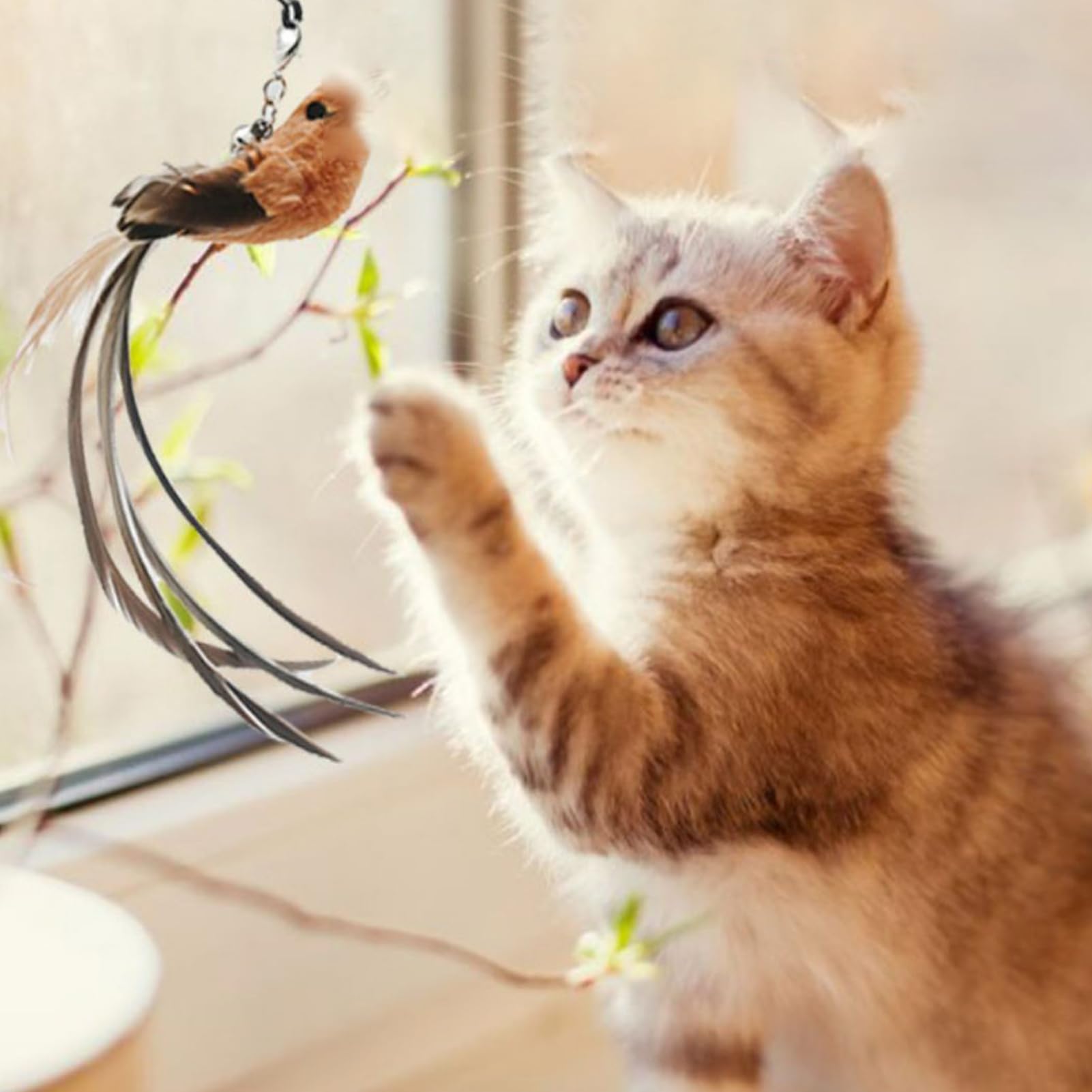 Cat Dancer Katzenspielzeug – Interaktiv Mit Federstahldraht & Papierrolle