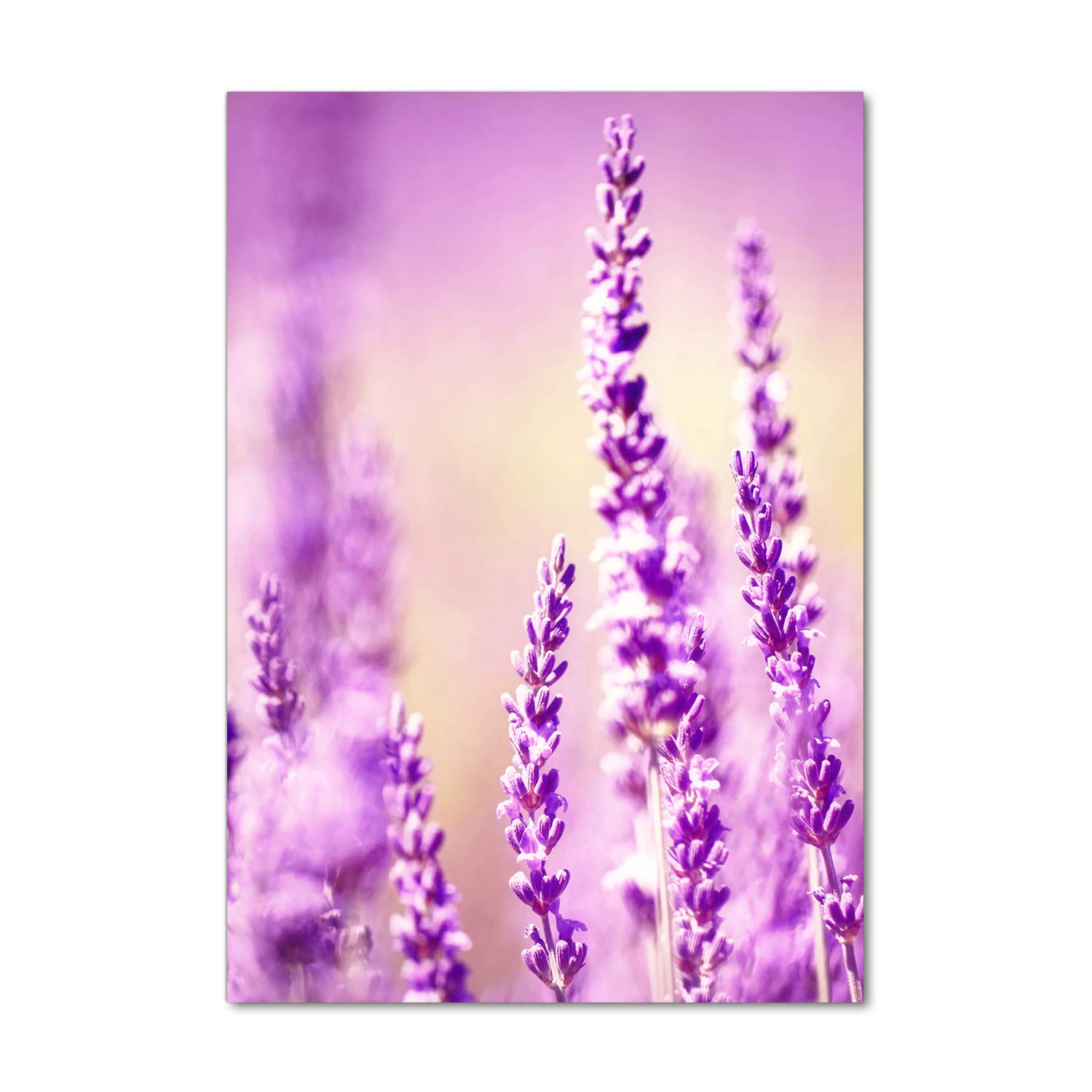 Impression sur verre lavande lavable contre les taches de cuisine 70x100