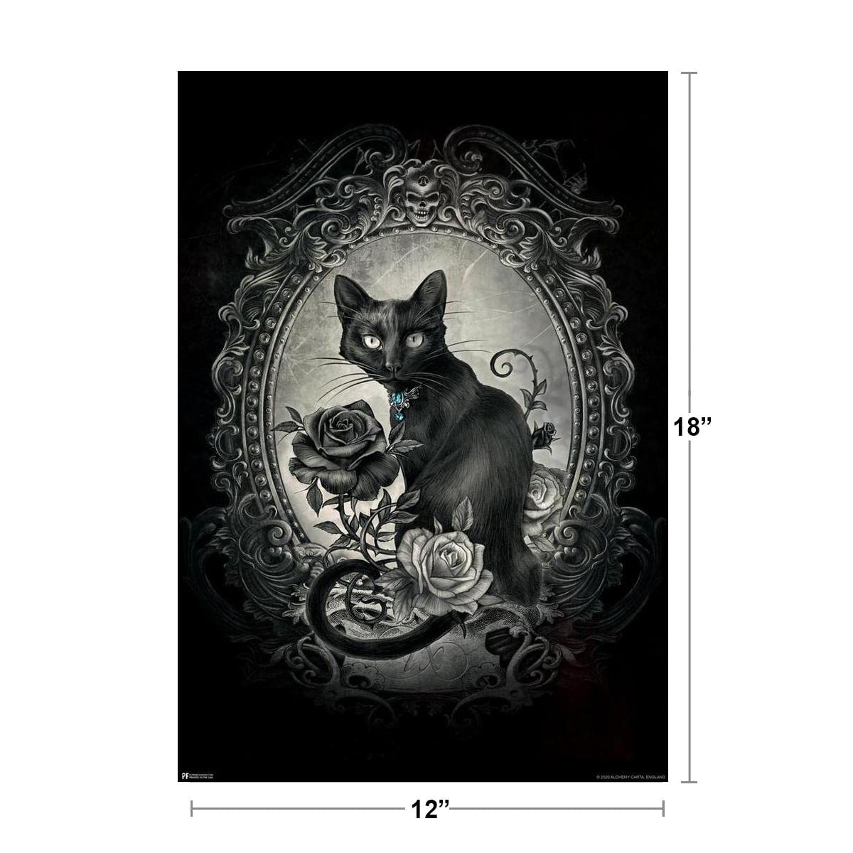 希少耽美系Goth、Black l CD 詰め合わせ Her gaze pierces through the veil between worlds—unapologetic