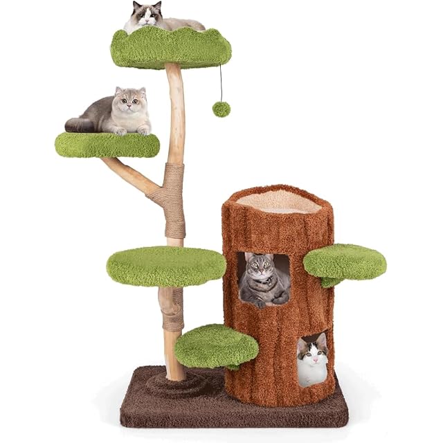 OZLMBERN Cat Tree Integrado de Madera Maciza Cat Cat Bread Frame de la casa Agarrando la Plataforma de Salto…