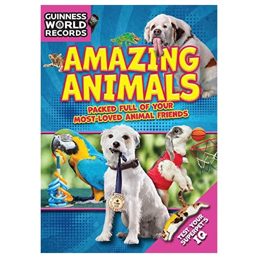 GUINNESS WORLD RECORDS AMAZING