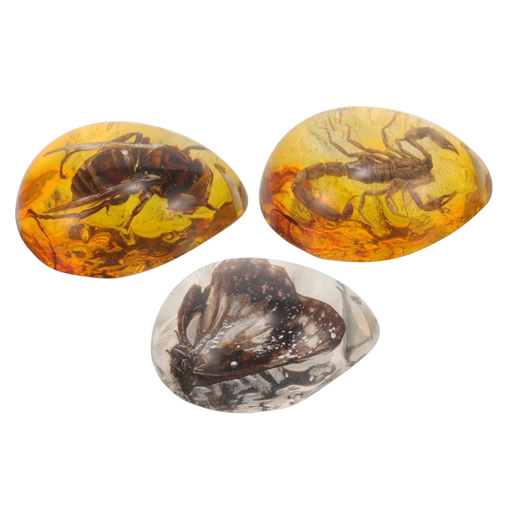 TOYANDONA 15pezzi Insetti Decorazioni Per Collezionisti e Appassionati Insetti Specimen e